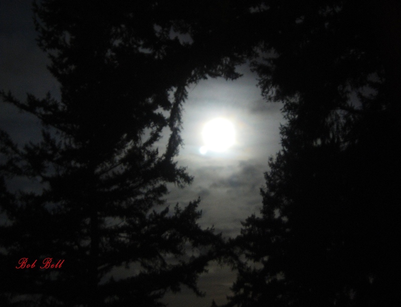 Moonlight Photography by Robert A Bell