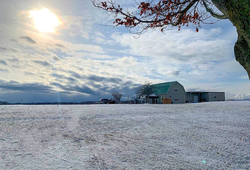 Rosewood Winery - Beamsville, Ontario 