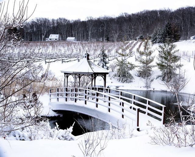 Rosewood Winery - Beamsville, Ontario 