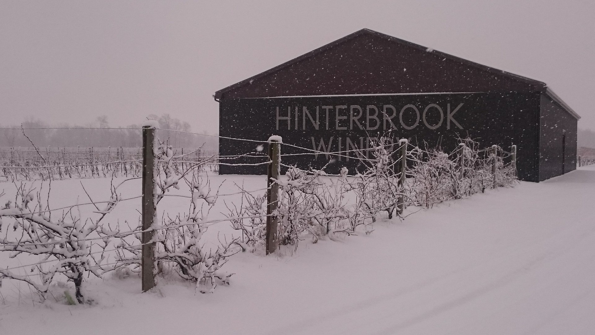 Hinterbrook Winery - Niagara-on-the-Lake, Ontario