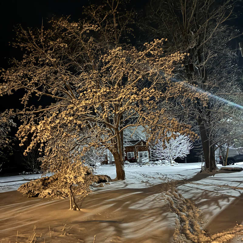 Stonehouse Vineyards -Ontario 