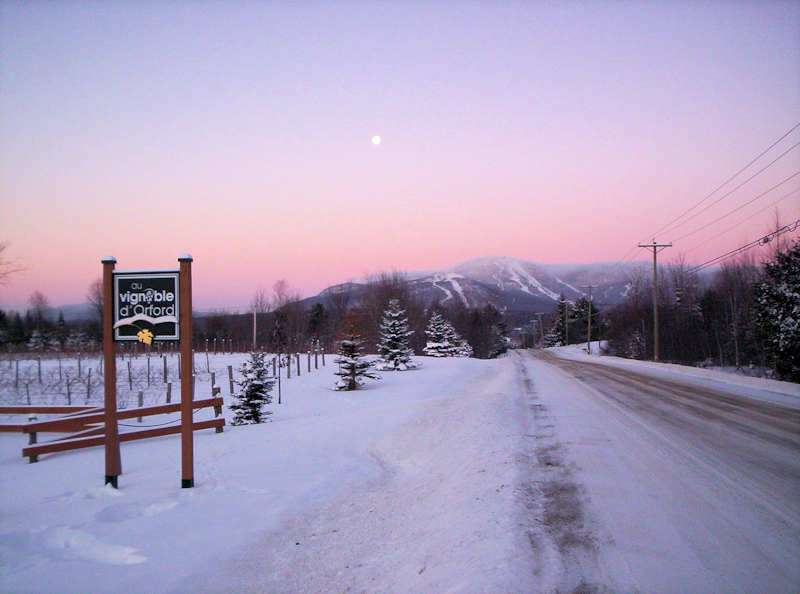 Au Vignoble d’Orford
