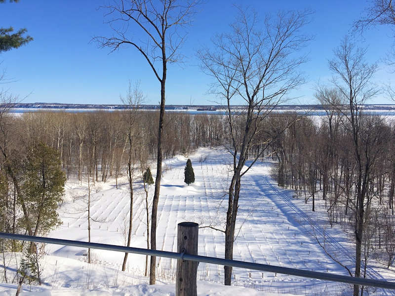 Domaine des 3 Moulins 