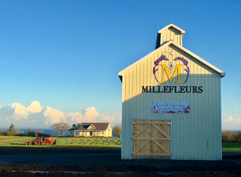 Millefleurs Meadery