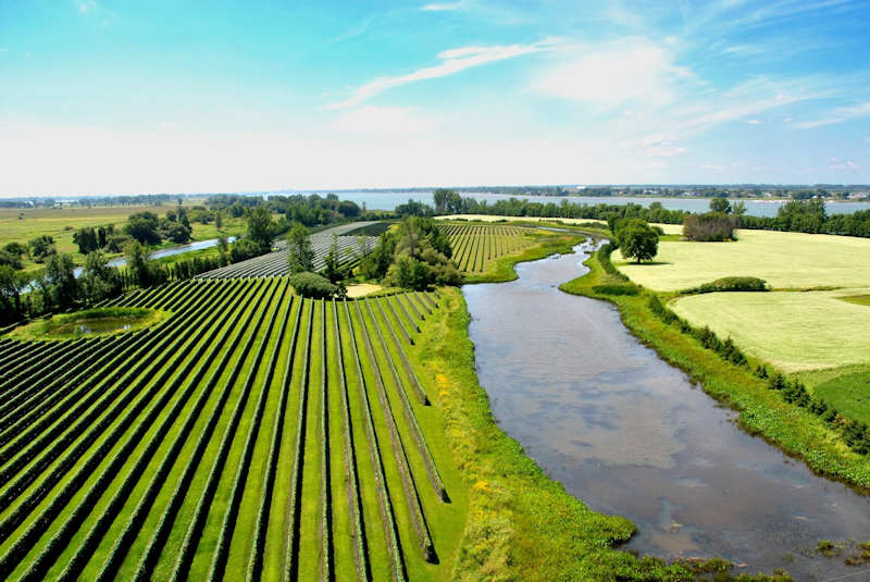 Domaine de l'Ile Ronde