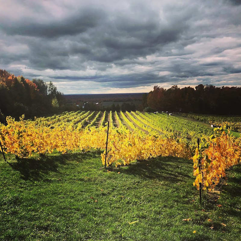 Domaine des Côtes d'Ardoise