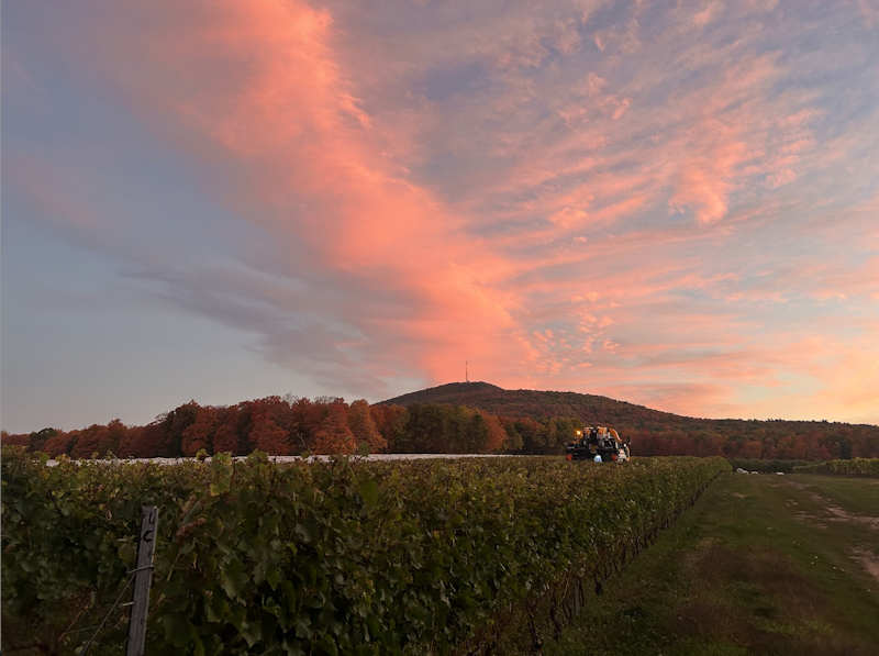 Inslberg winery Quebec