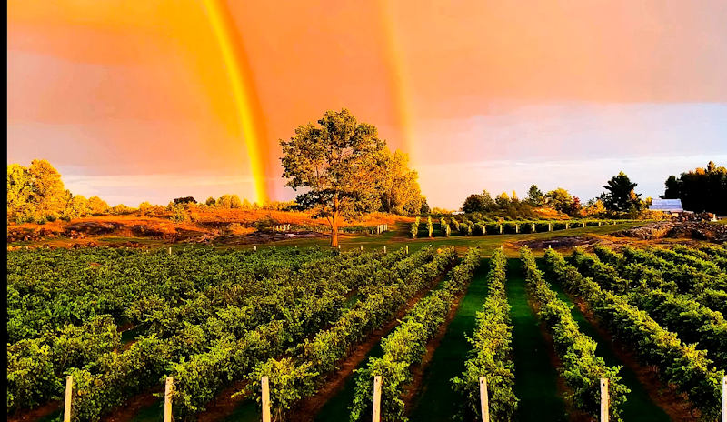 Wines of Canada Potters Settlement Artisian Winery, Ontario, Canada