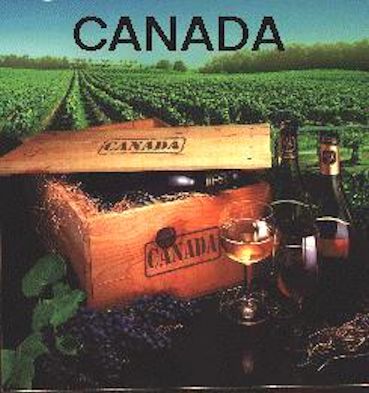 Canada's wine