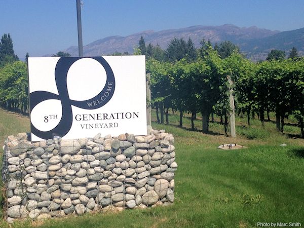 8th Generation Vineyard 