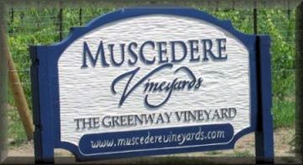 Muscedere Vineyards - Harrrow,Ontario 