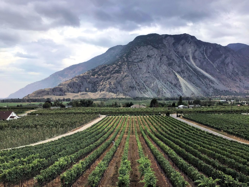 The view from Corcelettes tasting room - photo by Barbara Bell