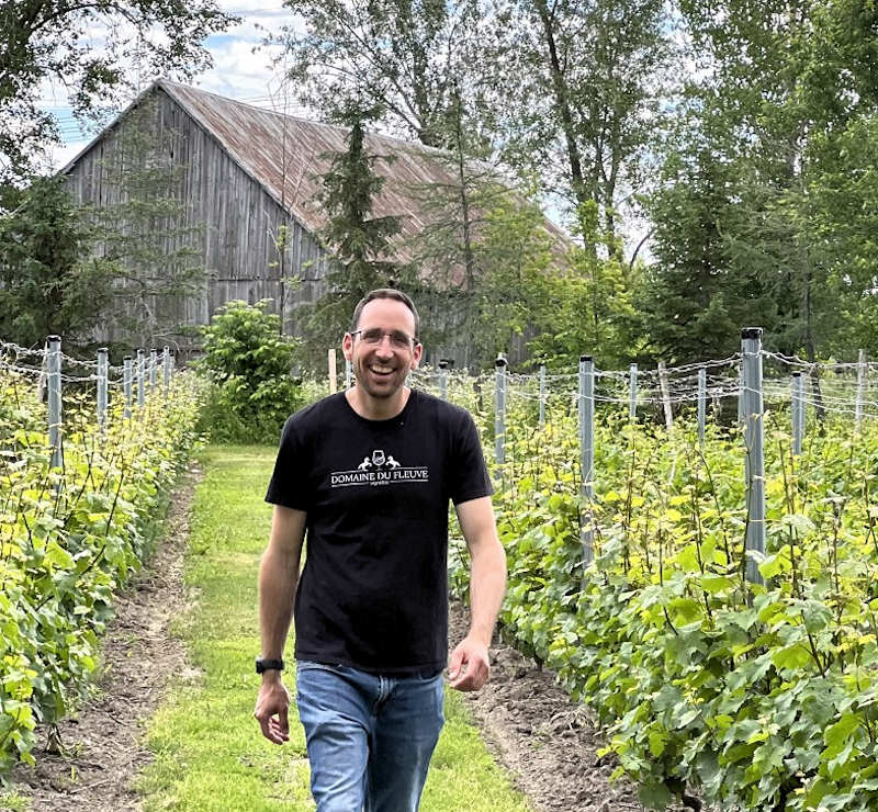 Louis Thomas - Domaine Du Fleuve